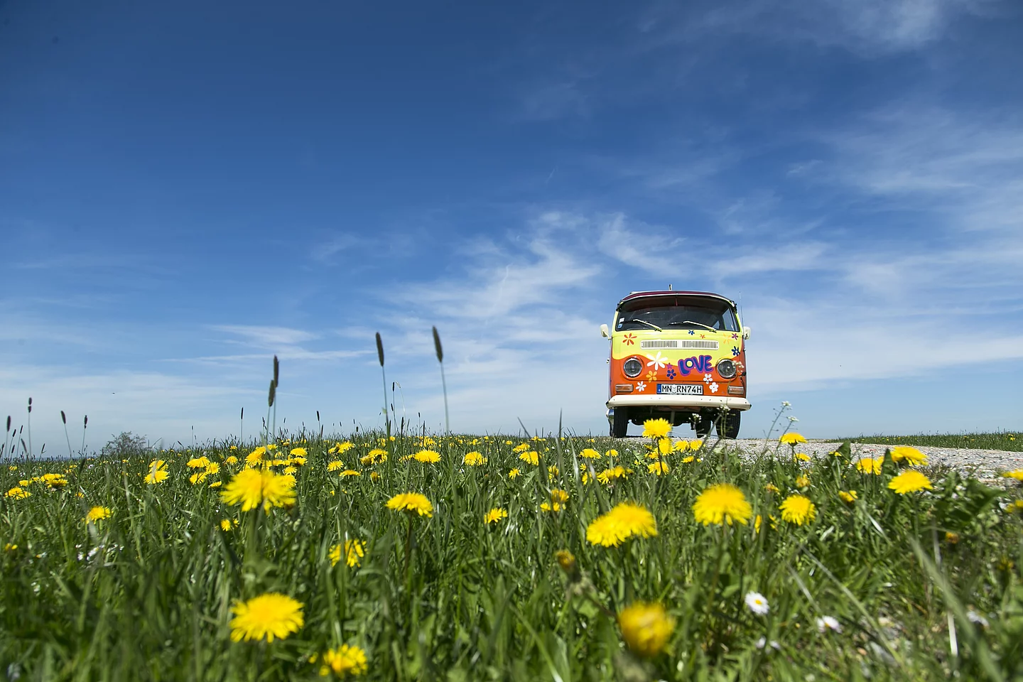 Rapunzel Bulli Bus im Löwenzahnfeld vor der Rapunzel Welt. Rapunzel Bulli Bus in einem Löwenzahnfeld vor der Rapunzel Welt