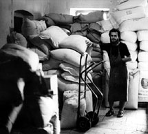 Joseph Wilhelm in the store room 1978